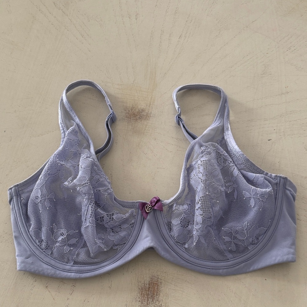 Victoria’s Secret Body by Victoria Demi Bra in Lavender 34DD 3/$40